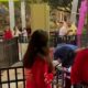 Muere un adolescente al caer de una atracción en un parque de Orlando