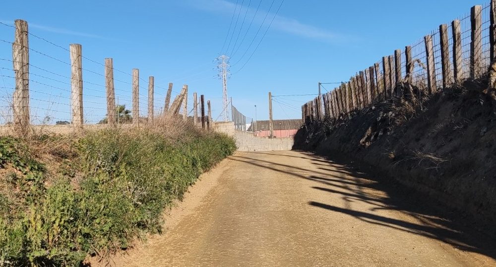 olivares caminos rurales