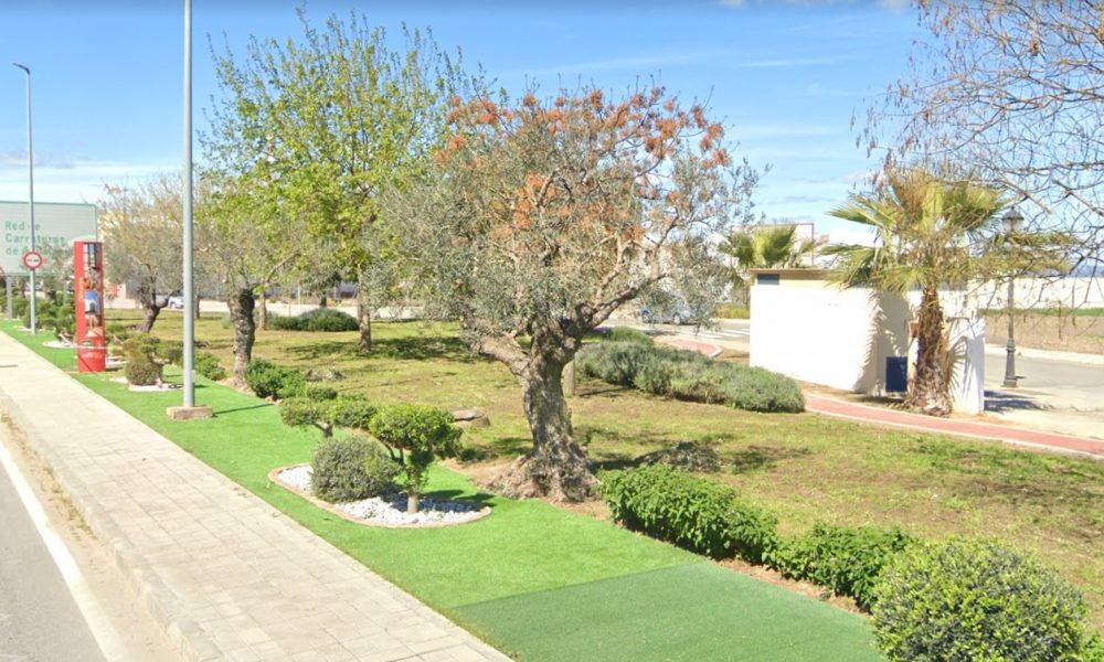 olivares parque