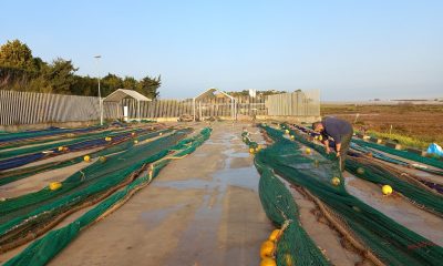 redes pesca