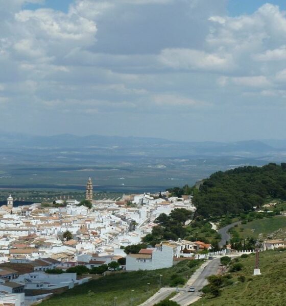 Estepa vistas
