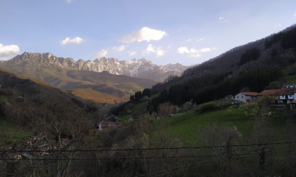 Paisaje verde