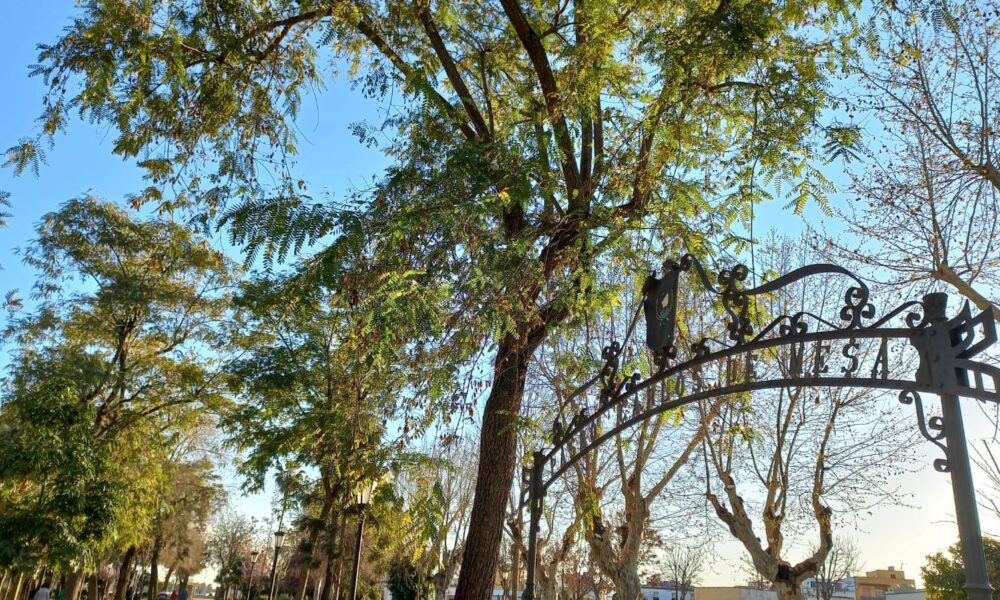 Parque Coria