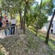 Un nuevo mirador ofrecerá panorámicas inéditas del río Guadaíra y sus molinos