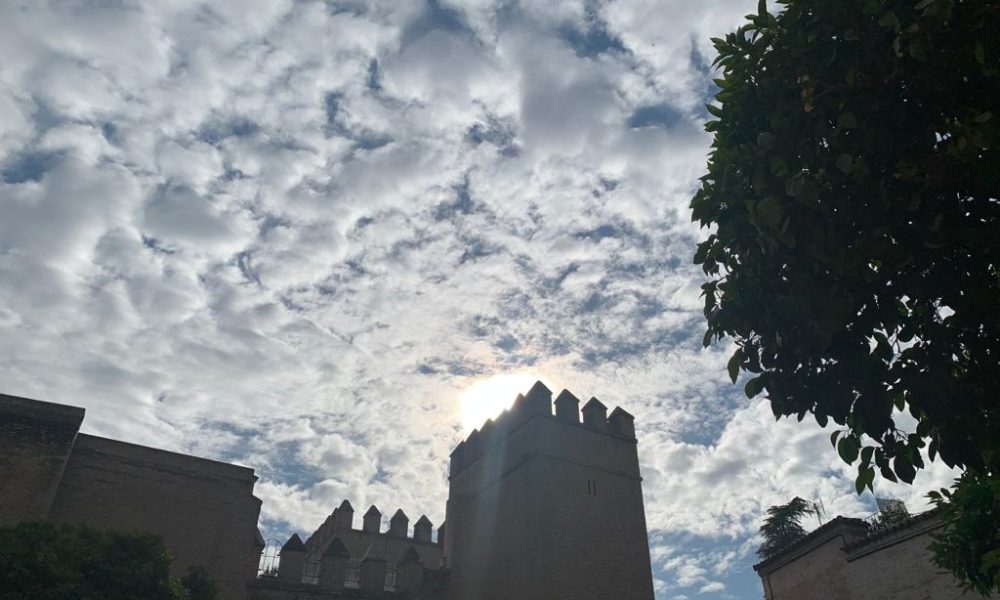 alcazar torre