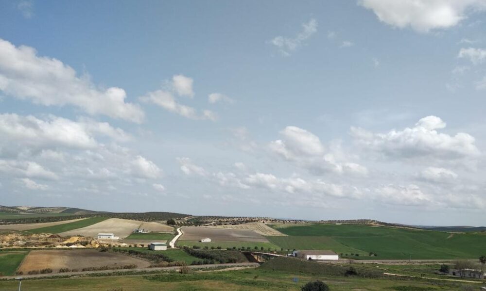 campo abierto
