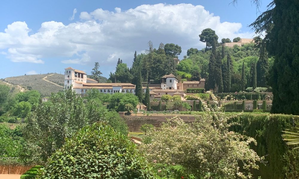 Alhambra vistas 1