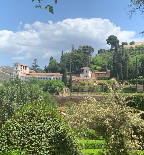 Alhambra vistas 1