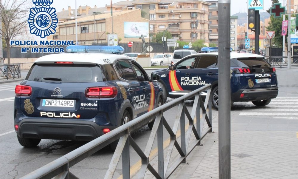 Dotaciones policiales en Distrito Sur