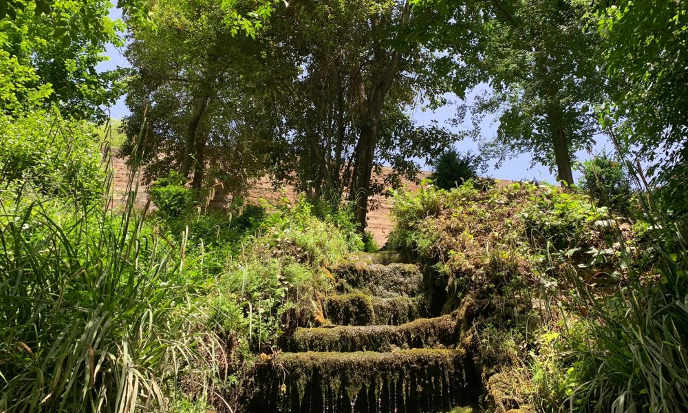 Fuente alhambra