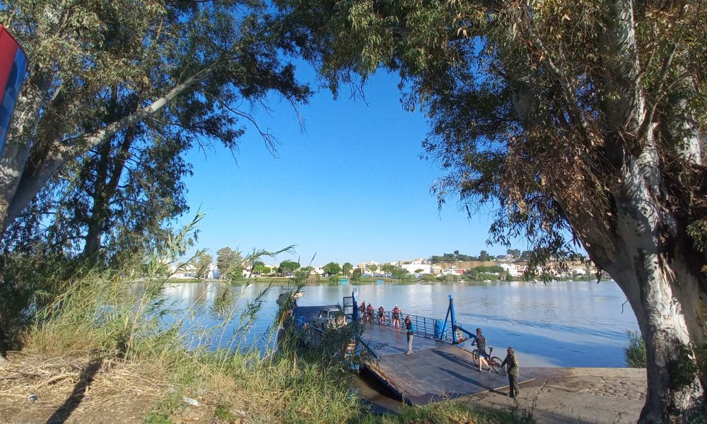 Guadalquivir 2