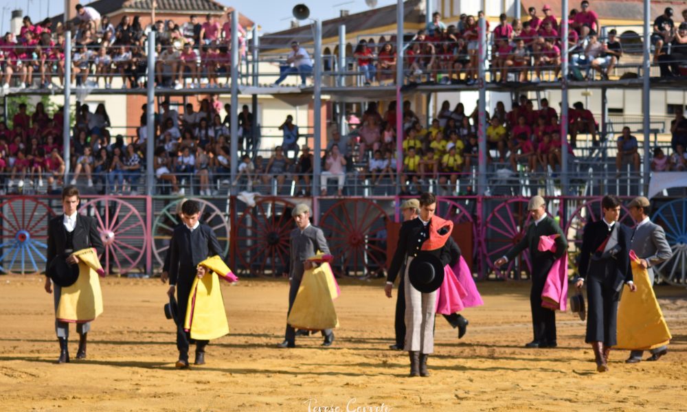 NOVILLADAS PLAZA DE TOROS 1