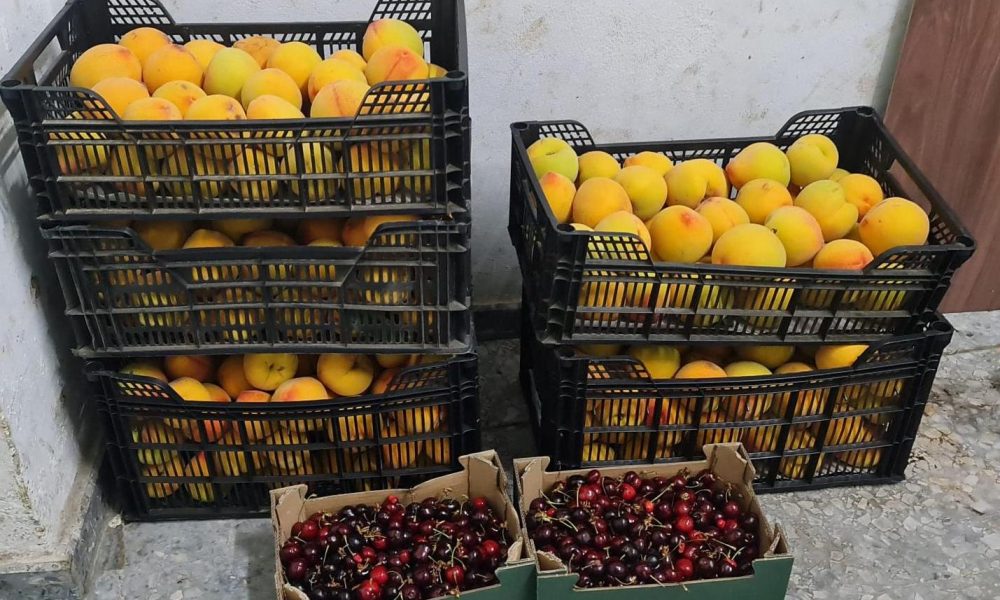 Naranjas cajas