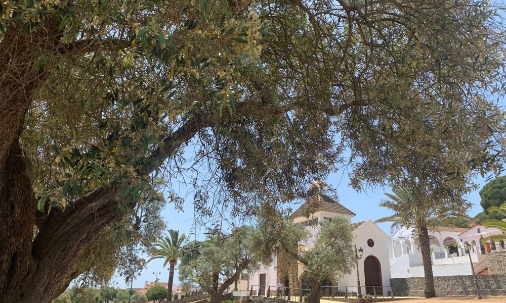 Recinto romero bella
