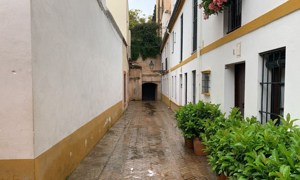 Sevilla calle