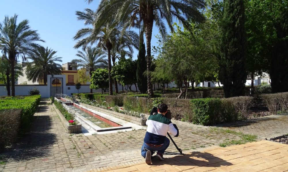 arabes palomares