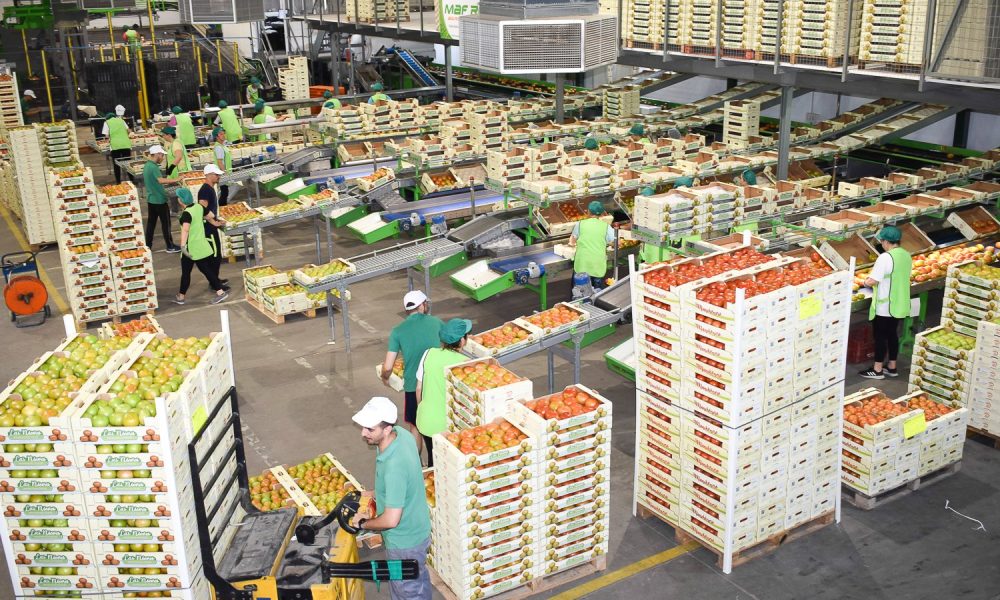 tomate los palacios