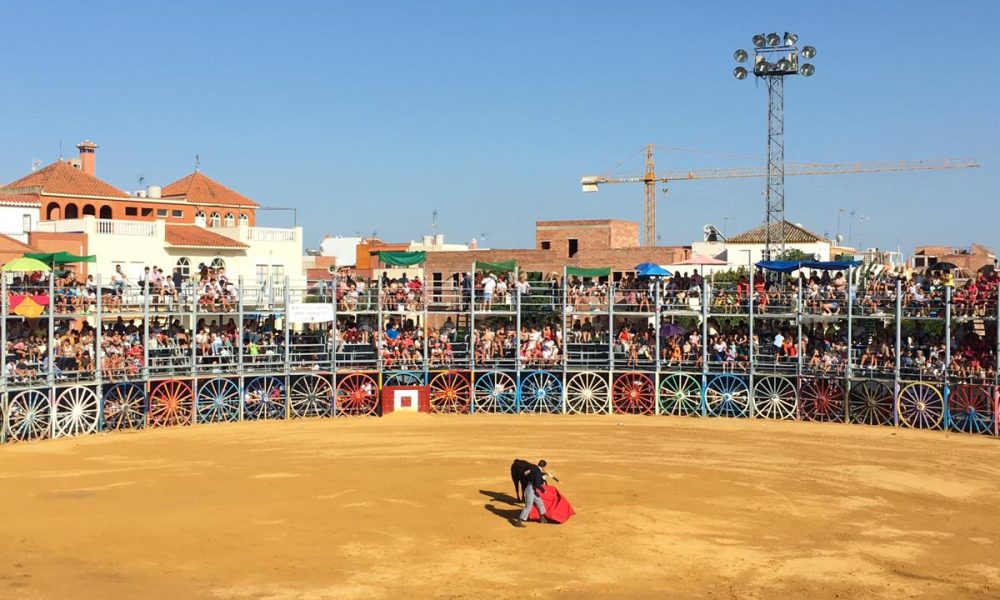 toros la algaba
