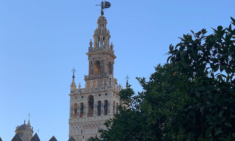 Giralda torre vistas