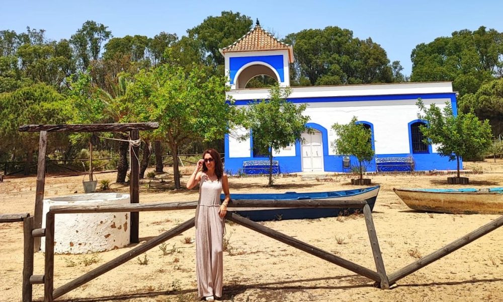 La casita azul