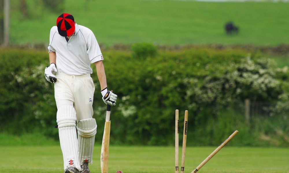 cricket gcff3dd446 1920