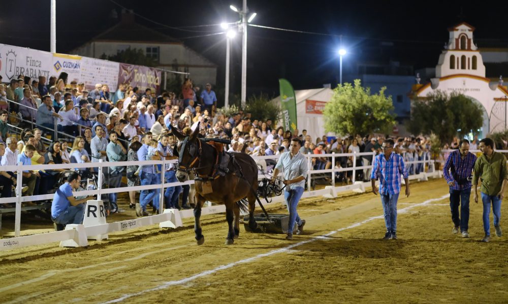 Para 2022 Arrastre de piedra con mulos