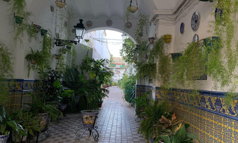 Patio Sevilla casa