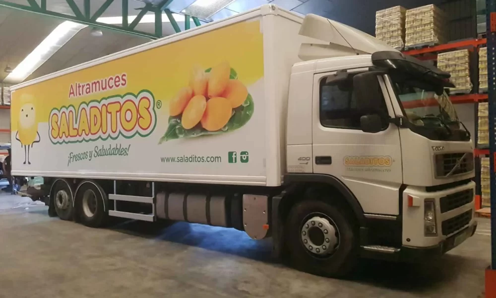 camion saladitos.jpg