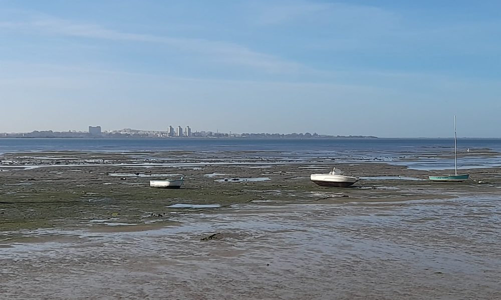 marismas paz