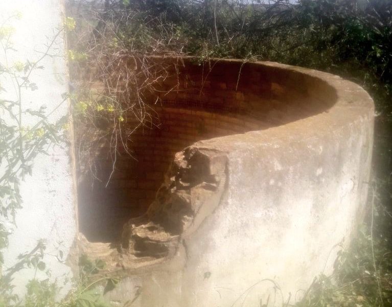 pozo palomares