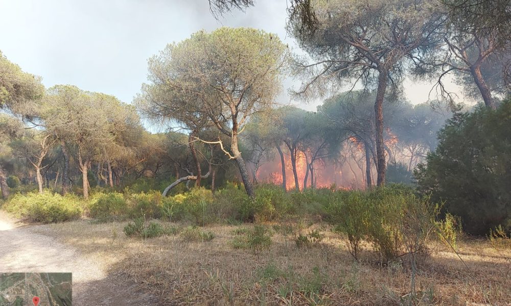 incendio el portil