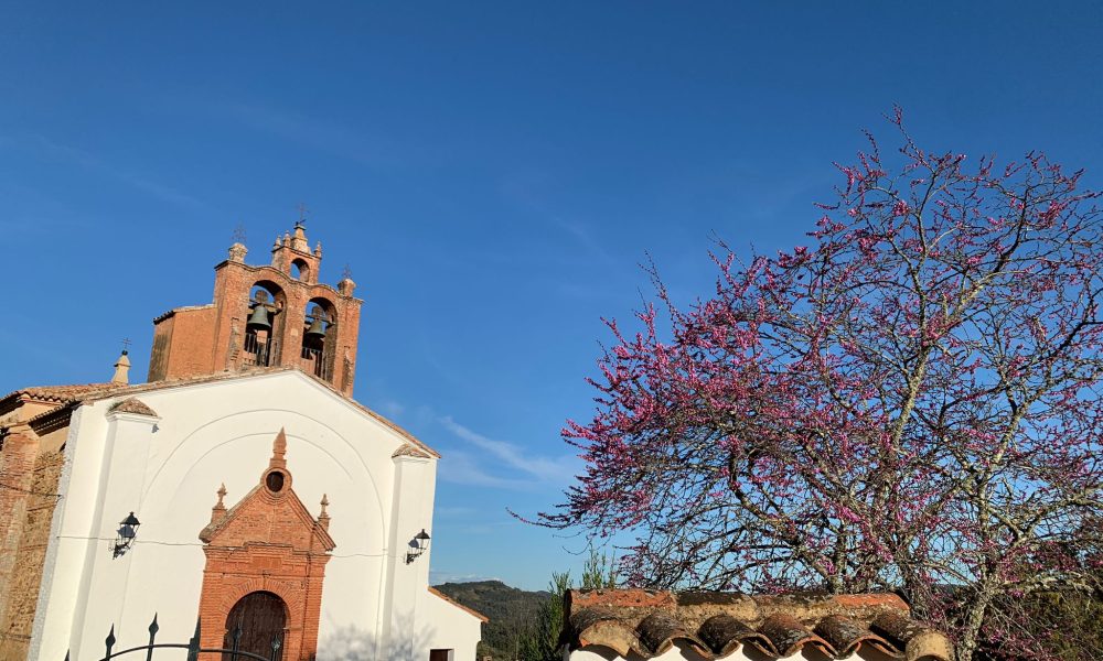 navahermosa iglesia arbol