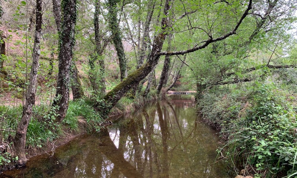 senderos santa ana arroyo