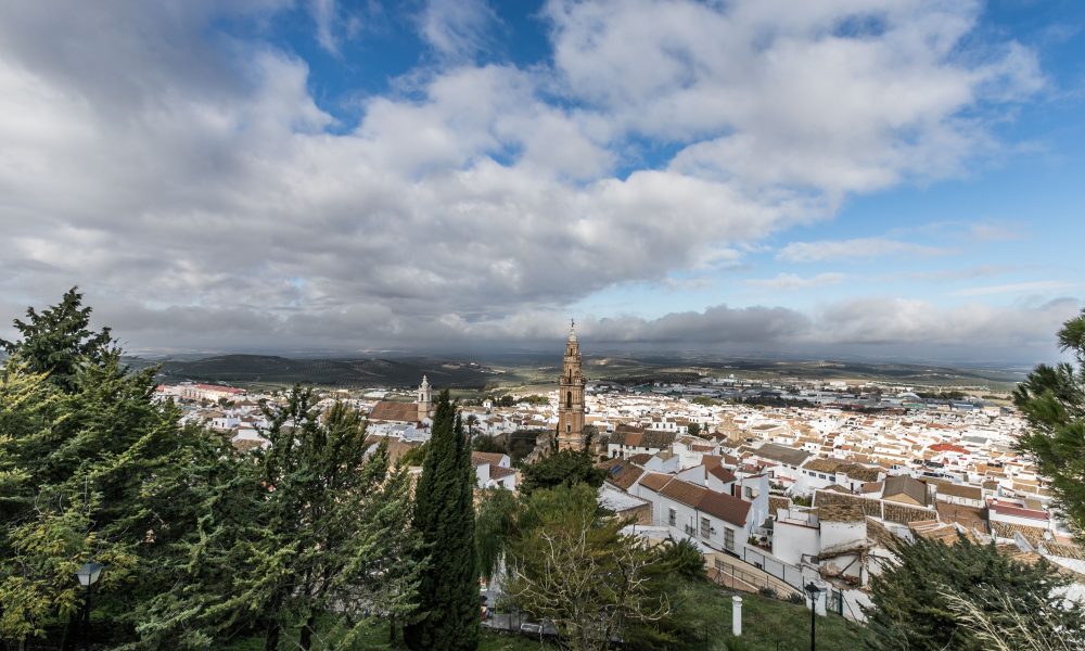 3Estepa panoramica