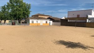 Niños con quemaduras al salir del colegio: los padres de Gerena exigen sombra para el centro sin más excusas 1