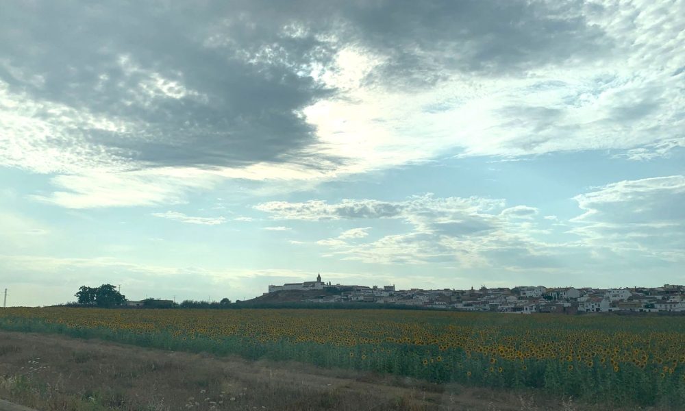 Gerena girasol