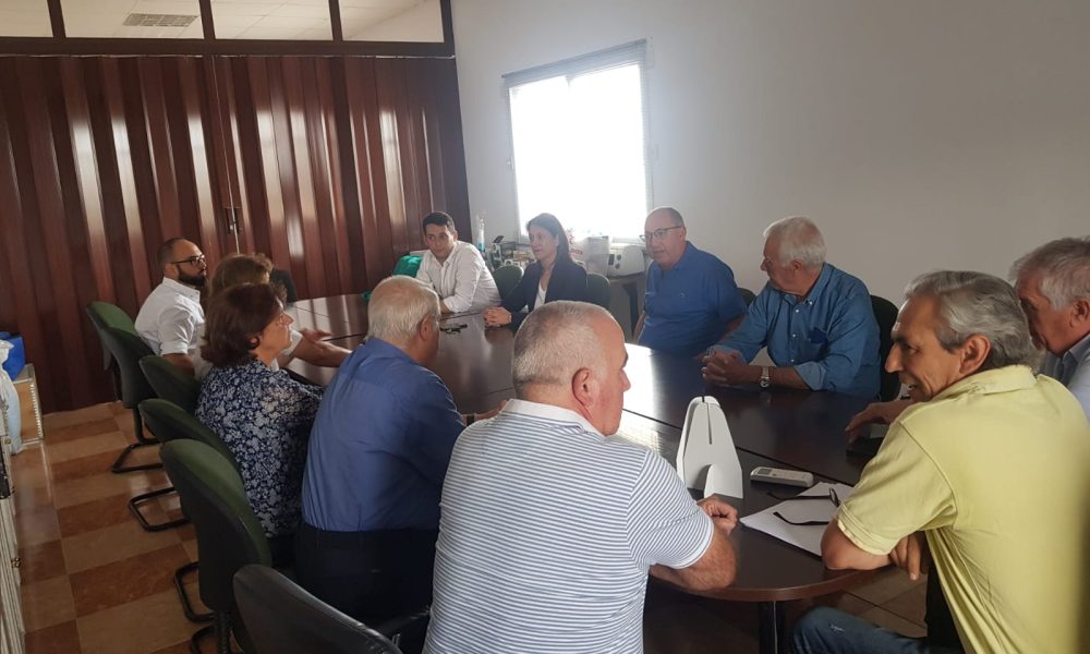 isabel Solis Paradas PP 1