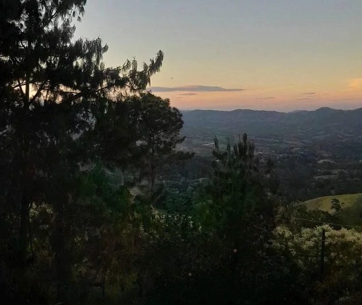 paisaje arboles