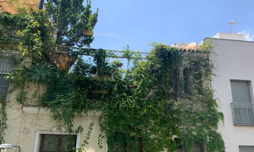 Casa hierba fachada