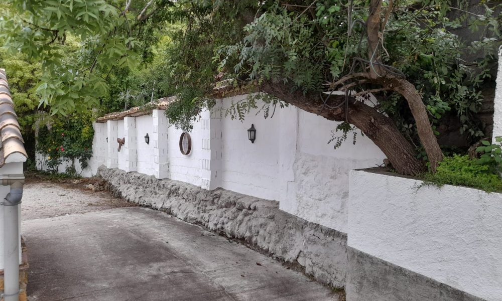 Sendero calle arboles
