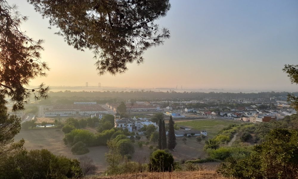 Sevilla desde Gelves