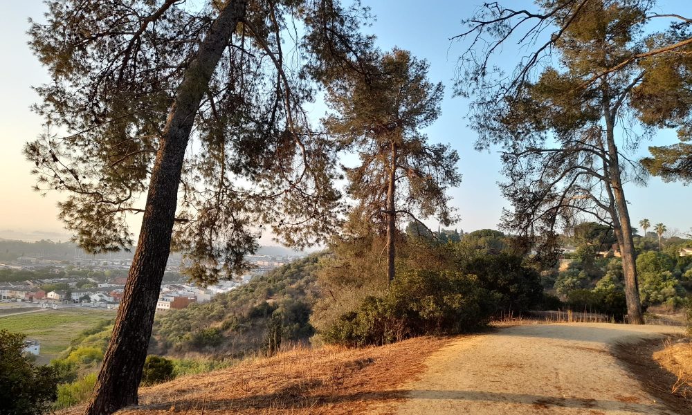 camino rural paseo