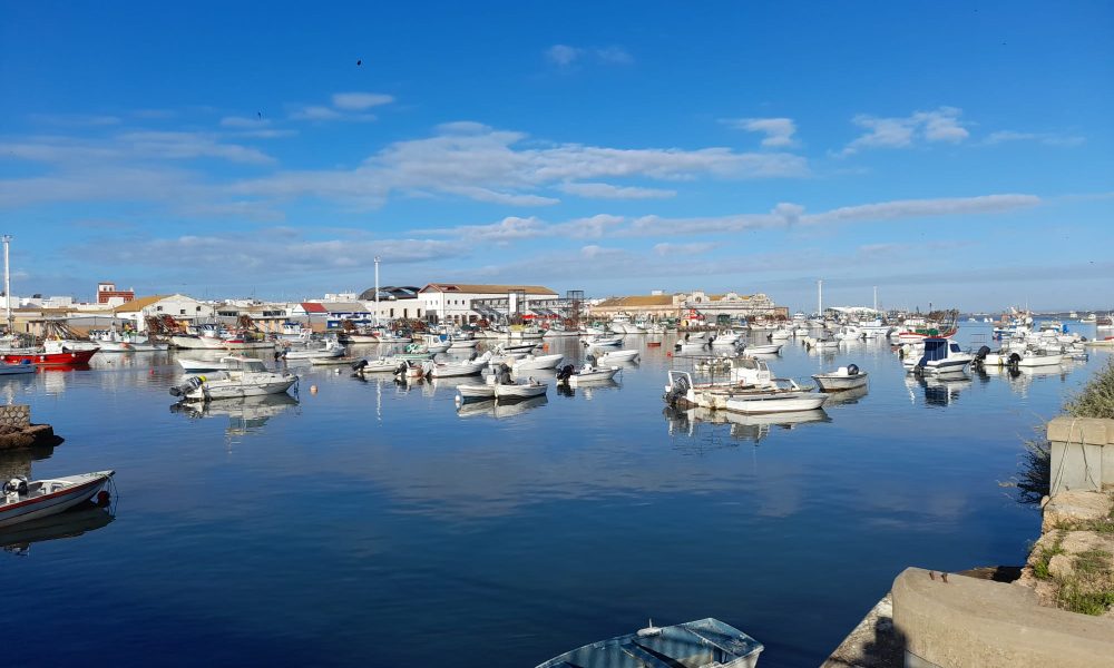 Puerto deportivo barcos