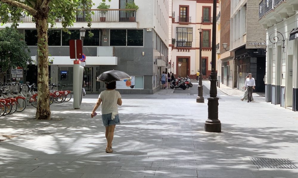 plaza nueva sevilla