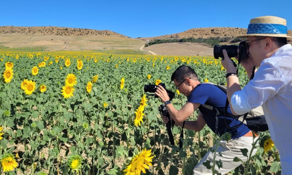 08 010823 Viaje Influencer chino Campina Girasoles1 1 1