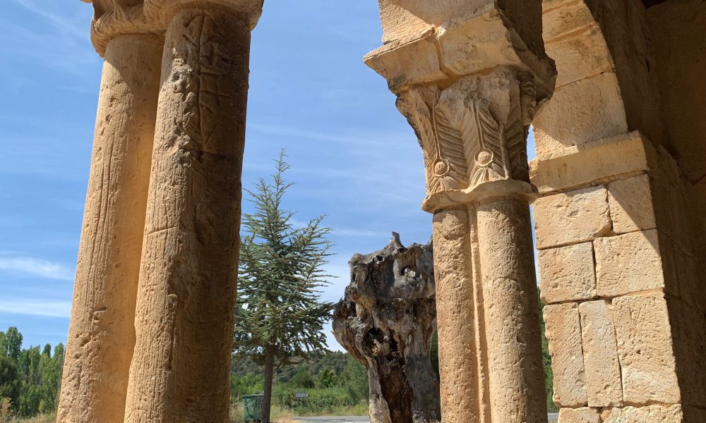 Ermita columnas arboles