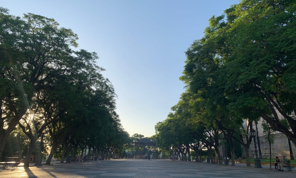 Plaza Alameda Jerez
