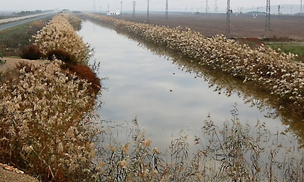 canal lebrija