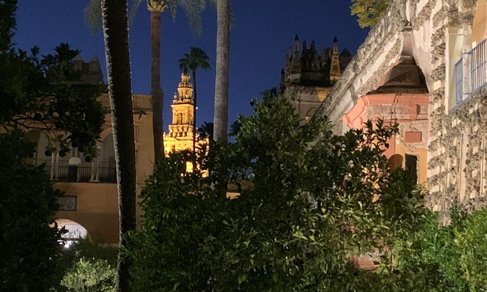 giralda alcazar noche vistas