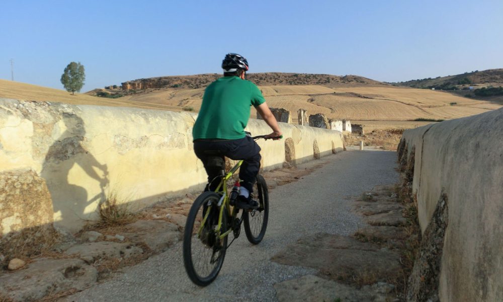 ruta cicloturista carmona